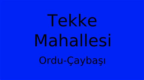 Ordu Caybasi Taskesigi Mahallesi terapi halı yıkama