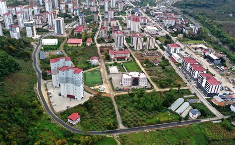 Ordu Fatsa Ayazli Mahallesi terapi halı yıkama