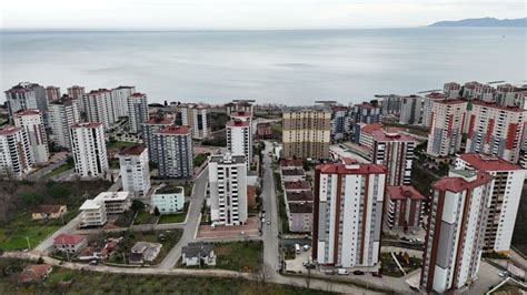 Ordu Fatsa Buhari Mahallesi terapi halı yıkama