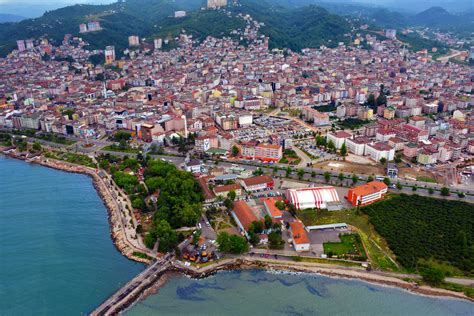Ordu Fatsa Cotelu Mahallesi terapi halı yıkama