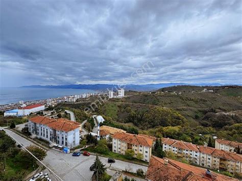 Ordu Fatsa Fatih Mahallesi terapi halı yıkama