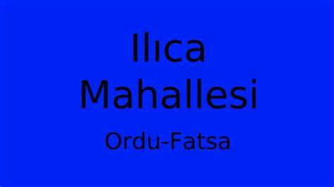 Ordu Fatsa Ilica Mahallesi terapi halı yıkama