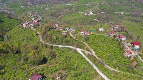 Ordu Fatsa Inonu Mahallesi terapi halı yıkama