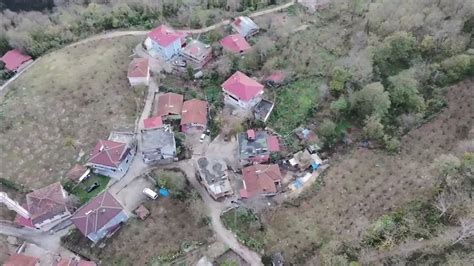 Ordu Fatsa Kulak Mahallesi terapi halı yıkama