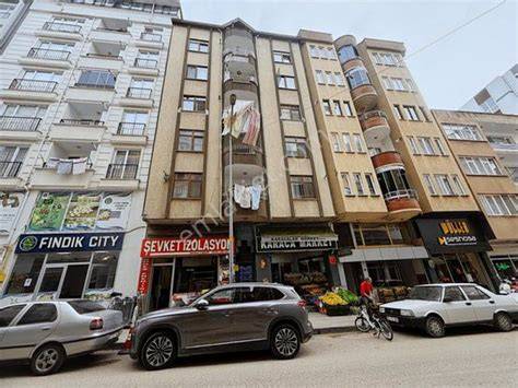 Ordu Fatsa Sakarya Mahallesi terapi halı yıkama