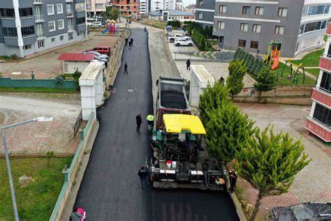 Ordu Fatsa Tayali Mahallesi terapi halı yıkama