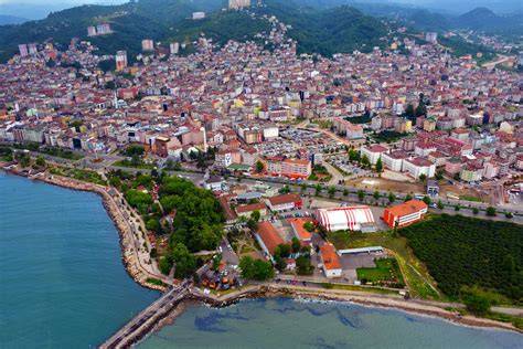 Ordu Fatsa Yukaritepe Mahallesi terapi halı yıkama