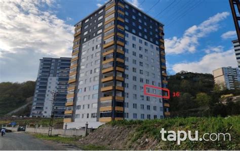 Ordu Fatsa Yusuflu Mahallesi terapi halı yıkama