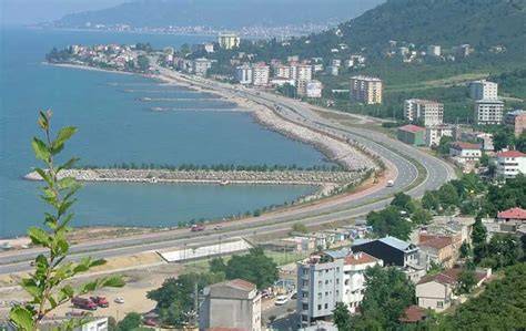 Ordu Gulyali En Yakin terapi halı yıkama