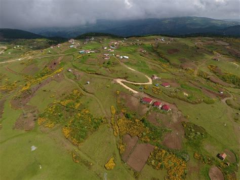 Ordu Korgan terapi halı yıkama