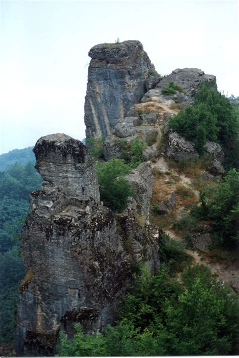 Ordu Kumru terapi halı yıkama
