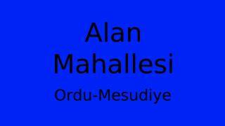 Ordu Mesudiye Alan Mahallesi terapi halı yıkama