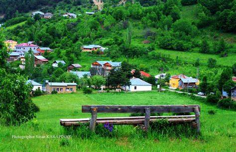 Ordu Mesudiye Merkez Mahallesi terapi halı yıkama