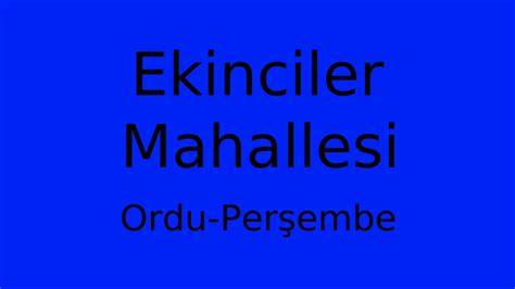Ordu Persembe Ekinciler Mahallesi terapi halı yıkama