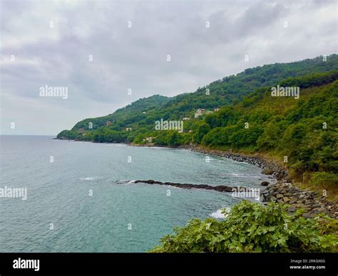 Ordu Persembe En Yakin terapi halı yıkama