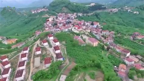 Ordu Ulubey terapi halı yıkama