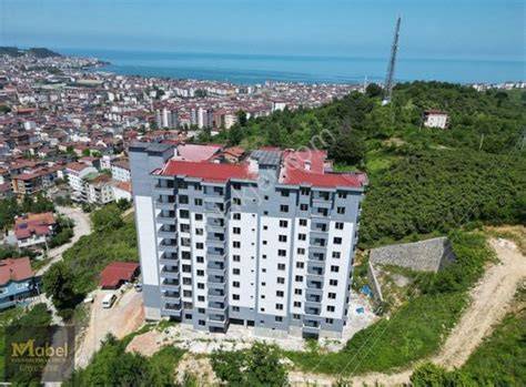 Ordu Unye Bayramca Mahallesi terapi halı yıkama
