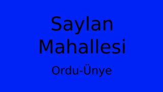 Ordu Unye Saylan Mahallesi terapi halı yıkama