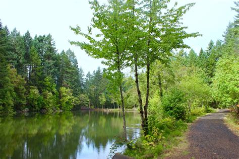 Oregon Adventures - Peavy Arboretum