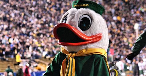 Oregon Duck Tracker The Duck from Puddles to Disney to Nike...