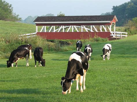 Oregon dairy lancaster pa. Things To Know About Oregon dairy lancaster pa. 