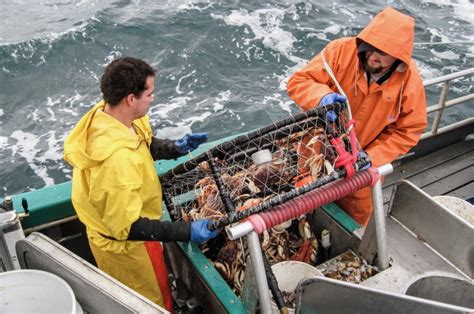 Oregon extends crab fishing restrictions to protect whales from getting caught in trap ropes