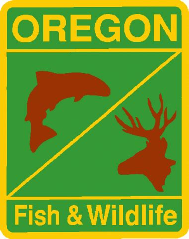 Oregon fish and wildlife department. Things To Know About Oregon fish and wildlife department. 