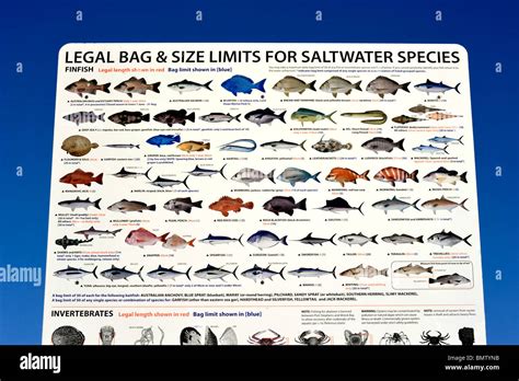 Oregon fishing bag limits. The recreational fishery for ocean whitefish ( Caulolatilus princeps) is open year-round, at all depths. The daily bag and possession limit is 10 fish within the general daily bag limit of 20 fish total, with no minimum size limit. Review California sport fishing regulations for further information pertaining to ocean whitefish. 