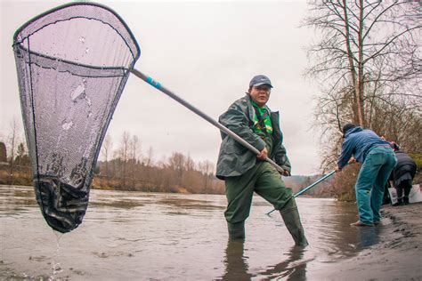 Oregon smelt fishing 2023. During the limited opener, a designated portion of the Cowlitz River in Southwest Washington will be open for recreational dip-netting from 8 a.m. to 1 p.m. for one day only. “The fish have ... 