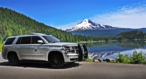 Oregon state police background check.  When your background is submitted, it go...