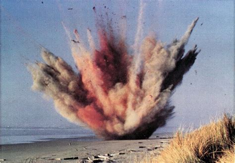 Oregon whale explosion. Claim: In 1970, the Oregon Department of Transportation attempted to dispose of a whale carcass by blowing it up. 
