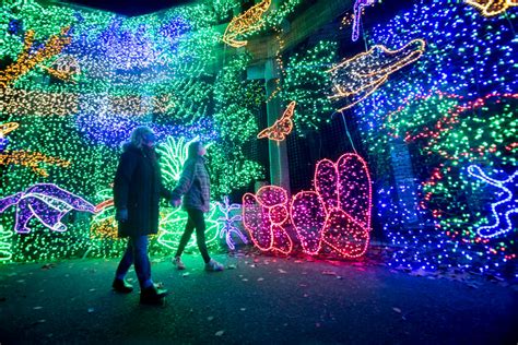 15% Off Tickets to Holiday Lights 17 of November to 1 of January. Ge