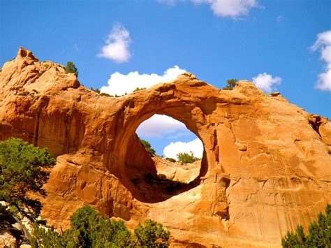 Oreillys window rock az. Things To Know About Oreillys window rock az. 