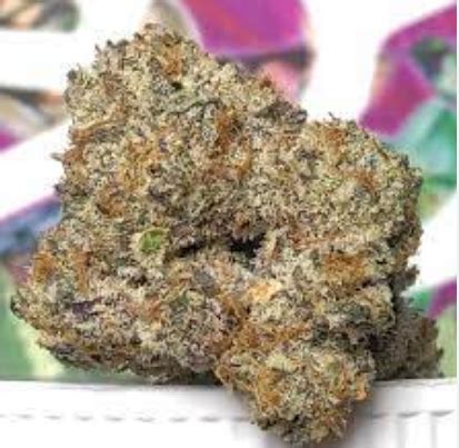 Dante’s Inferno is a cannabis strain, that combines Oreoz and Devil Driver. Breeders Clearwater Genetics and Tiki Madman teamed up on the strain. Dante's Inferno can smell sweet and creamy, and .... 