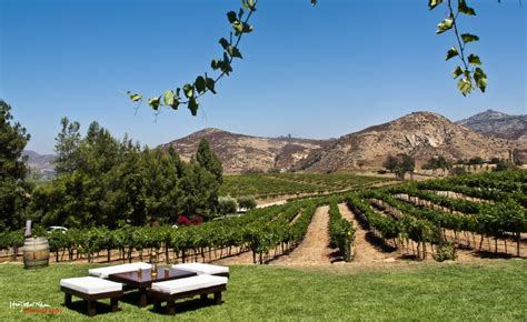 Orfila vineyards and winery. Things To Know About Orfila vineyards and winery. 