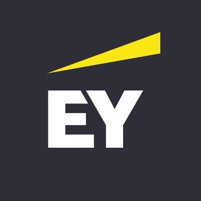 Org Chart EY Greece - The Official Board