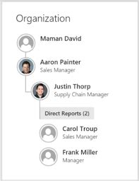 Org Chart not appearing in Delve - Microsoft Community