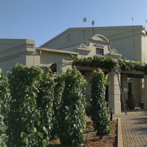 Org de Rac Organic Wine Estate - Tripadvisor