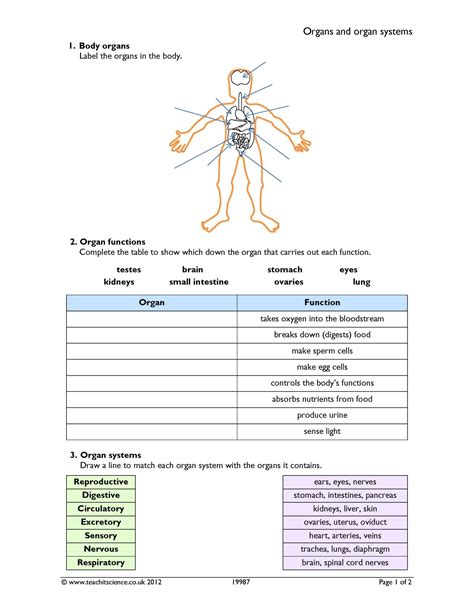 Organ System Overview Worksheets