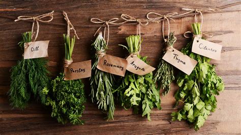 Organic Herbs