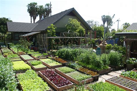 Organic Produce Los Angeles