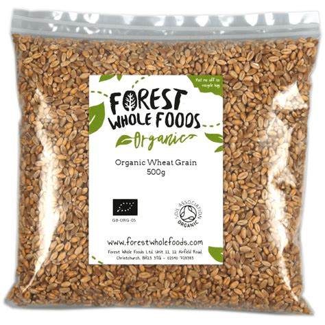 Organic Wheat Grain - Forest Whole Foods