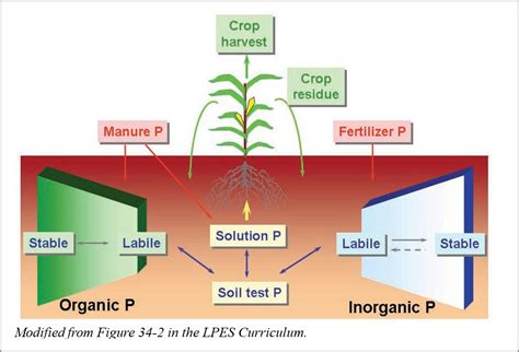 Organic and inorganic phosphorus forms in soil as …