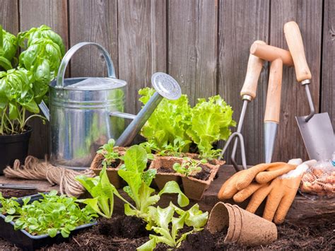 Organic gardening for beginners a complete gardening at home guide. - Einführung in die mykologie der gebrauchs- und abwässer.