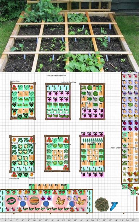 Organic gardening garden design composting and companion planting for beginners a guide to companion planting. - Hunger games study guide scholastic answers.