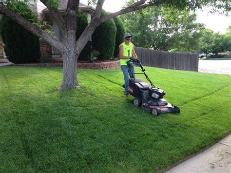 Organic lawn care near me. Our most popular lawn care program! Fertilization and weed control services are tailored to fit your needs. It provides the results you expect from a professional lawn care provider. High-Quality Fertilizer. Targeted Weed Control. Free Lawn and Landscape Evaluation. Lawn Care and Maintenance Tips. Free Service Calls. Spring Green Guarantee. 