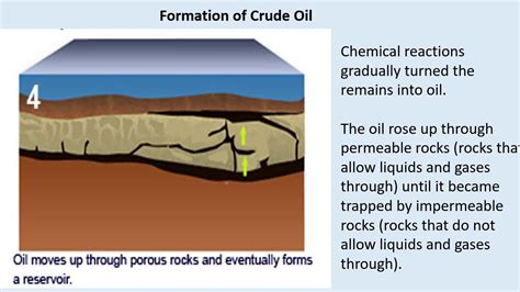 Organic material in oil mostly comes from. The story of oil is a bit complicated. The leading theory, known as the biogenic model of oil formation, is that oil is formed from the remains of organic material. However, some scientists believe that oil has inorganic origins. Since a comparatively greater amount of evidence has been found to support the model that most of the oil we use has ... 