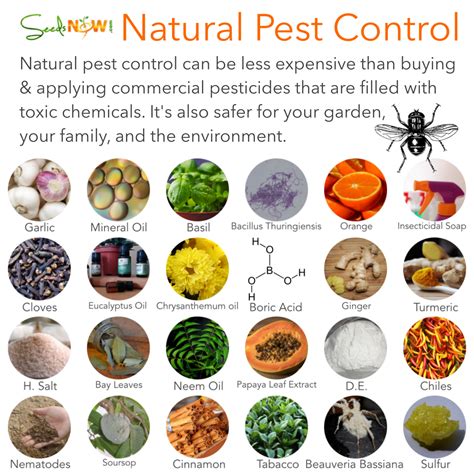 Read Organic Pest Control The Ultimate Organic Pest Control System To Protect Your House Garden And Food Organic Gardening  How To Guide On Natural Pest Control And Growing Your Own Food By Thomas Hunter