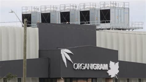 Organigram email says cooling towers had