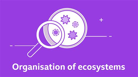 Organisation of an ecosystem - AQA - BBC Bitesize